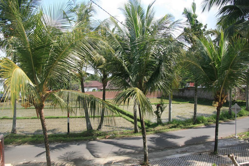 Hotel Gusti Rai House Ubud Exterior foto